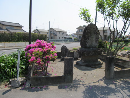 f:id:iirei:20110405022602j:image f:id:iirei:20110405022602j:image