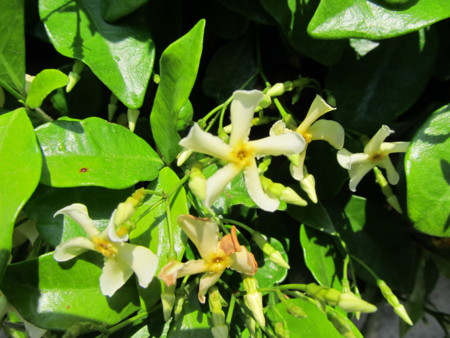 f:id:iirei:20110405022927j:image f:id:iirei:20110405022927j:image