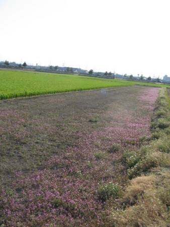 f:id:iirei:20110405161238j:image