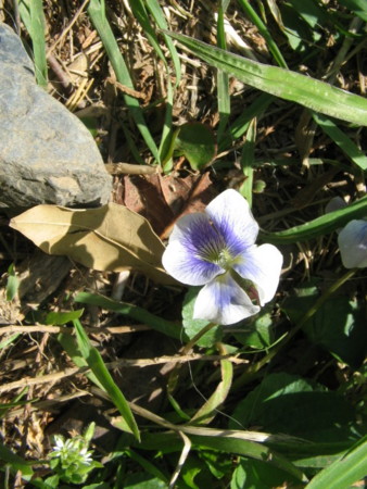 f:id:iirei:20110406123712j:image
