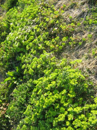f:id:iirei:20110406161050j:image