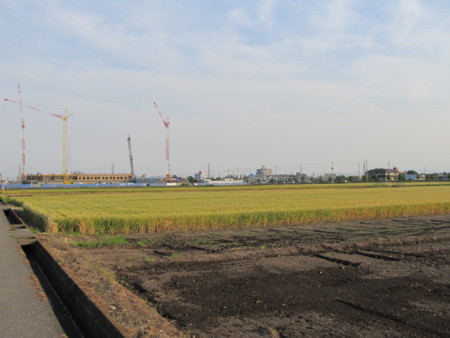 f:id:iirei:20110412062104j:image f:id:iirei:20110412062104j:image