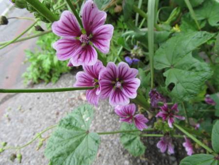 f:id:iirei:20110417025728j:image