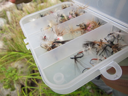 f:id:iirei:20110718034331j:image
