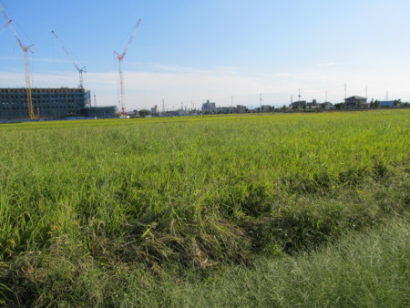 f:id:iirei:20110927193706j:image f:id:iirei:20110927193706j:image
