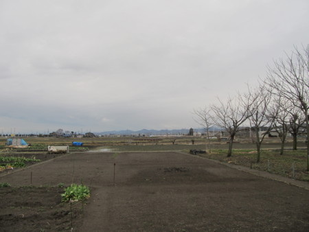 f:id:iirei:20120310191950j:image