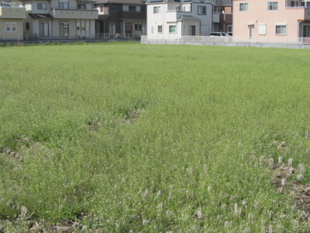 f:id:iirei:20120419194533j:image