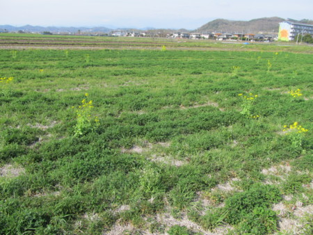 f:id:iirei:20120419194733j:image