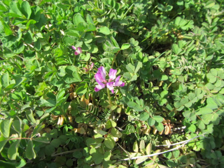 f:id:iirei:20120419194905j:image