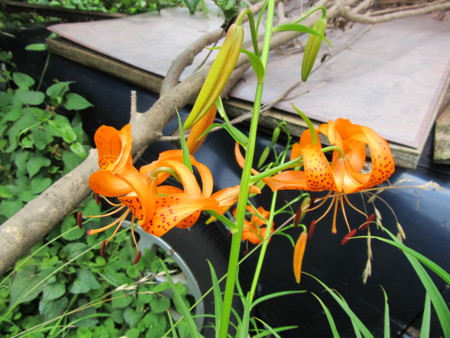 f:id:iirei:20120628193537j:image