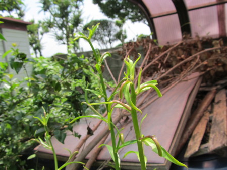 f:id:iirei:20120628193658j:image