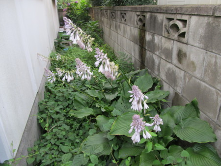 f:id:iirei:20120713192405j:image