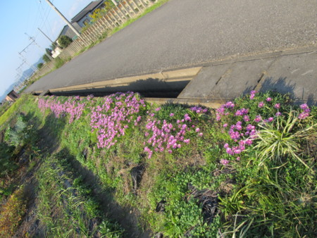 f:id:iirei:20121026193020j:image