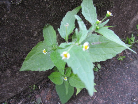 f:id:iirei:20121105191628j:image f:id:iirei:20121105191628j:image