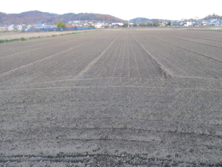f:id:iirei:20121205191133j:image