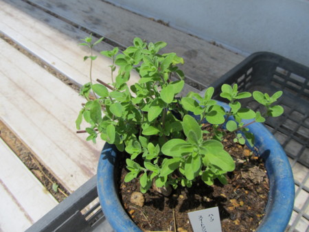 f:id:iirei:20130603202536j:image f:id:iirei:20130603202536j:image