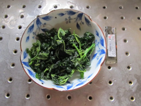 f:id:iirei:20130618114832j:image