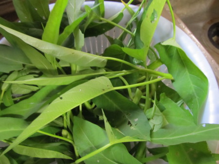 f:id:iirei:20130921000627j:image f:id:iirei:20130921000627j:image