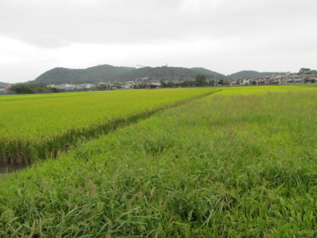 f:id:iirei:20130926001818j:image f:id:iirei:20130926001818j:image