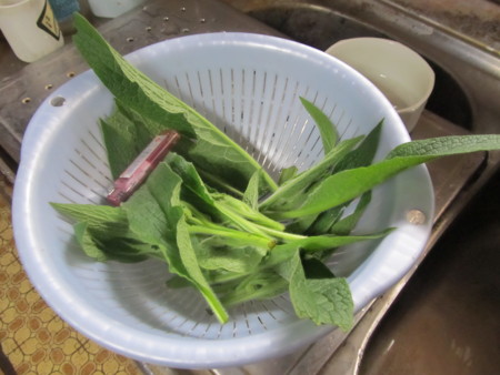 f:id:iirei:20140423192452j:image