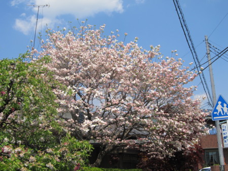 f:id:iirei:20140423192926j:image