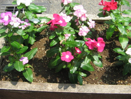 f:id:iirei:20140801195445j:image