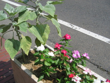 f:id:iirei:20140801195834j:image