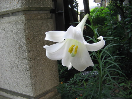 f:id:iirei:20140821224005j:image f:id:iirei:20140821224005j:image