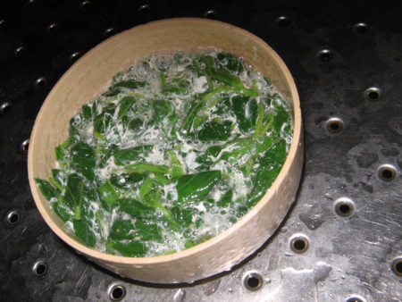 f:id:iirei:20140826193252j:image f:id:iirei:20140826193252j:image