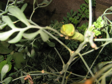 f:id:iirei:20140827192849j:image f:id:iirei:20140827192849j:image