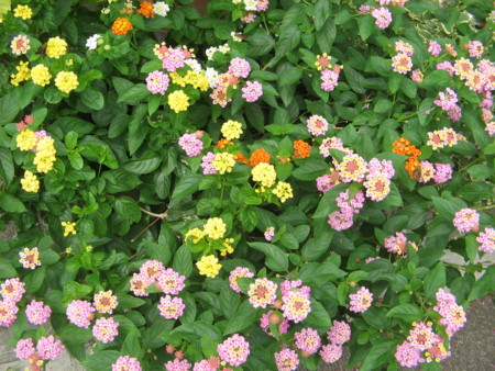 f:id:iirei:20140831201924j:image