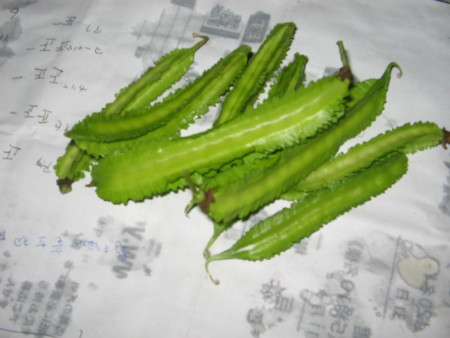 f:id:iirei:20141005132146j:image