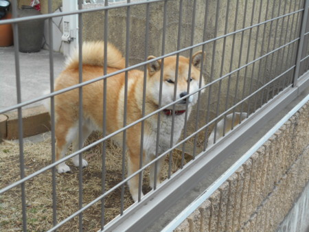 f:id:iirei:20150309114902j:image f:id:iirei:20150309114902j:image