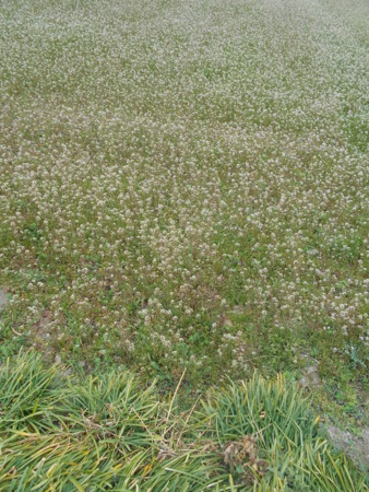 f:id:iirei:20150319113646j:image f:id:iirei:20150319113646j:image