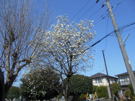 f:id:iirei:20150324162536j:image
