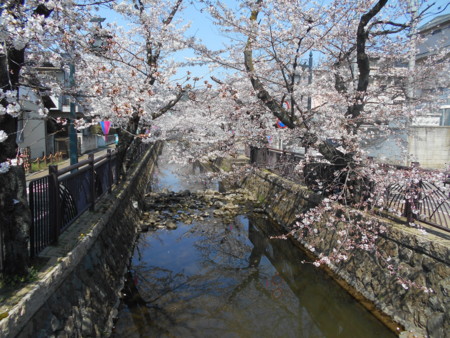 f:id:iirei:20150403115749j:image