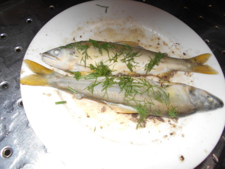 f:id:iirei:20150528064201j:image