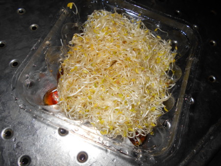 f:id:iirei:20150528064202j:image