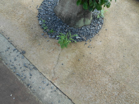 f:id:iirei:20150722065607j:image f:id:iirei:20150722065607j:image