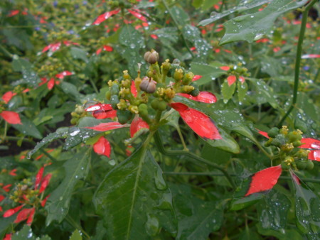 f:id:iirei:20150831080128j:image f:id:iirei:20150831080128j:image