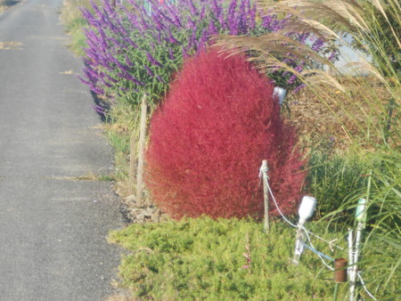 f:id:iirei:20151020065025j:image f:id:iirei:20151020065025j:image