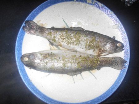 f:id:iirei:20151025072102j:image f:id:iirei:20151025072102j:image