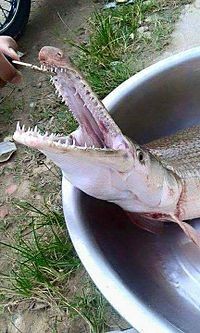 f:id:iirei:20170430115916j:image f:id:iirei:20170430115916j:image