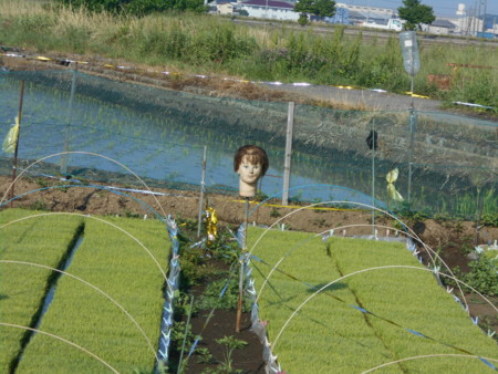 f:id:iirei:20170524162113j:image f:id:iirei:20170524162113j:image
