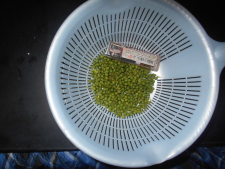 f:id:iirei:20170530163408j:image f:id:iirei:20170530163408j:image