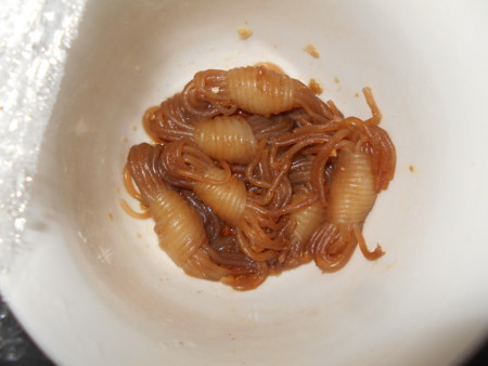 f:id:iirei:20171021082736j:image