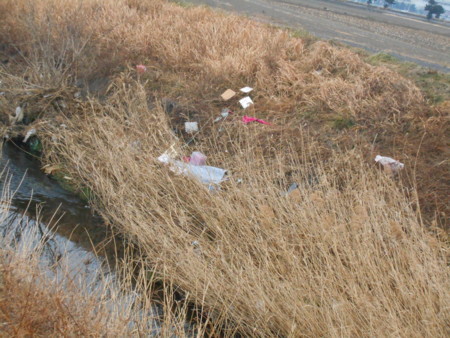 f:id:iirei:20180130195903j:image f:id:iirei:20180130195903j:image