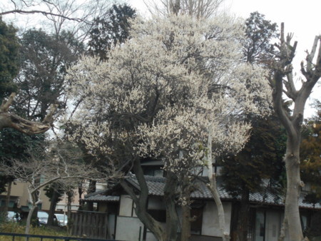 f:id:iirei:20180302002000j:image