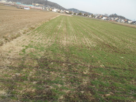 f:id:iirei:20180308044012j:image f:id:iirei:20180308044012j:image