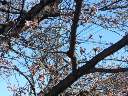 f:id:iirei:20180326001717j:image f:id:iirei:20180326001717j:image